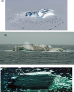 First thumbnail for: Grain size and mineral variability of glacial mari...