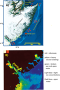 Second thumbnail for: Grain size and mineral variability of glacial mari...