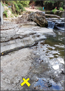 Second thumbnail for: Multiscale characterization of an extensive stroma...