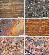 Second thumbnail for: An operational classification system for the South...