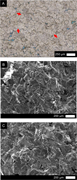 Third thumbnail for: Clumped-isotope evidence for the formation of nonp...