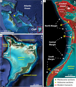 First thumbnail for: Controls on bioturbation and sediment distribution...