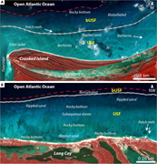 Second thumbnail for: Controls on bioturbation and sediment distribution...