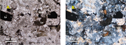 Third thumbnail for: Climato-tectonic evolution of siliciclastic sandst...