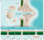First thumbnail for: The morphodynamics and sedimentology of a seasonal...