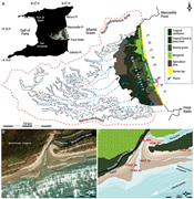 Third thumbnail for: The morphodynamics and sedimentology of a seasonal...