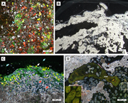 Second thumbnail for: Decompositional processes of microbial carbonates ...