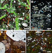 Third thumbnail for: Decompositional processes of microbial carbonates ...