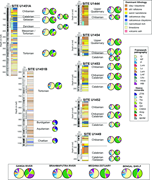 Second thumbnail for: Petrology of Bengal Fan turbidites (IODP Expeditio...