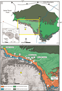 First thumbnail for: Anatomy of a fluvial paleo-fan: sedimentological a...