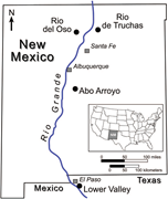 First thumbnail for: Late Quaternary fluvial environments at Abo Arroyo...