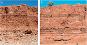 Third thumbnail for: Late Quaternary fluvial environments at Abo Arroyo...