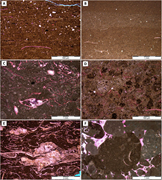 Second thumbnail for: Dolomite mineralogy as a proxy record for lake lev...