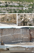 Third thumbnail for: Diagenesis of carbonate density-flow deposits cont...