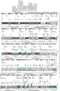 Third thumbnail for: Interpreted depositional conditions of balanced-fi...