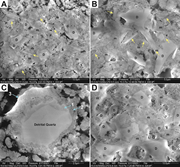 First thumbnail for: An eolian dust origin for clastic fines of Devono-...