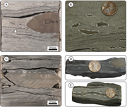 Third thumbnail for: Understanding siderite mineralization in phyllosil...
