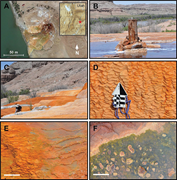 First thumbnail for: Rapid diagenesis and microbial biosignature degrad...