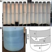 Second thumbnail for: Dynamic near-seafloor sediment transport in Kaikōu...
