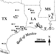 First thumbnail for: Cyclicity of katatectic layers in anhydrite caproc...