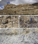 Second thumbnail for: The record of the Early Late Paleocene Event (ELPE...