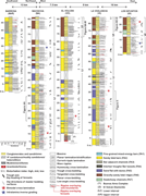Third thumbnail for: Discerning coastal-process signatures and architec...