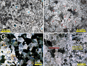 First thumbnail for: Clumped-isotope evidence for the formation of nonp...