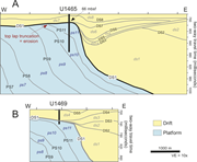 Third thumbnail for: Dolomite formation in the Miocene Kardiva platform...