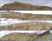 Third thumbnail for: Quantification of internal heterogeneity across a ...