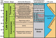 Second thumbnail for: Reevaluating the depositional model of the Cenoman...