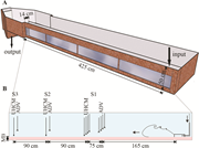 First thumbnail for: Effects of liquefied beds on the basal layers of t...