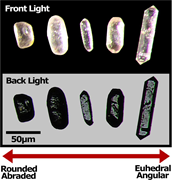 Second thumbnail for: Leaving no zircon unturned: quantifying the impact...