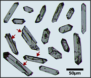 Third thumbnail for: Leaving no zircon unturned: quantifying the impact...