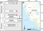 First thumbnail for: Plio-Pleistocene stratigraphy, paleoenvironments, ...