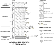 Third thumbnail for: Plio-Pleistocene stratigraphy, paleoenvironments, ...