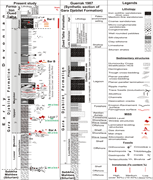 Second thumbnail for: Microbially induced sedimentary structures (MISSs)...