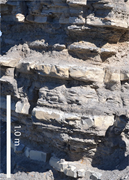 Second thumbnail for: Recognizing primary production signatures in mudst...