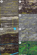 Third thumbnail for: Recognizing primary production signatures in mudst...