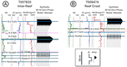 Third thumbnail for: 3-D seismic-based morphometric analysis of Siluria...
