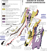 First thumbnail for: The record of Ediacaran Basin transformation from ...