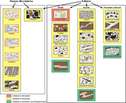 Third thumbnail for: A new microsedimentological conceptual framework o...
