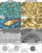 First thumbnail for: Exploration of shallow-marine carbonate micritizat...