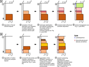 Third thumbnail for: Paleoclimatic, geomorphic, and tectonic controls o...