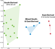 Third thumbnail for: Early Cretaceous continental-scale sediment disper...