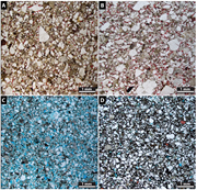 Third thumbnail for: Burial formation of turbidite-hosted carbonate con...