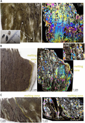 Third thumbnail for: Formation of wedge structures in the permafrost de...