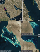 First thumbnail for: Light at the end of the funnel: coupled carbonate ...