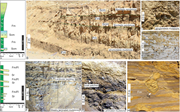 Third thumbnail for: Sedimentology and evolution of a mixed-energy delt...
