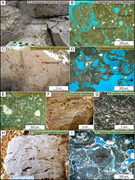 Second thumbnail for: Elastic properties of lacustrine, palustrine, and ...