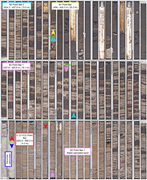 Second thumbnail for: Early Cretaceous continental-scale sediment disper...